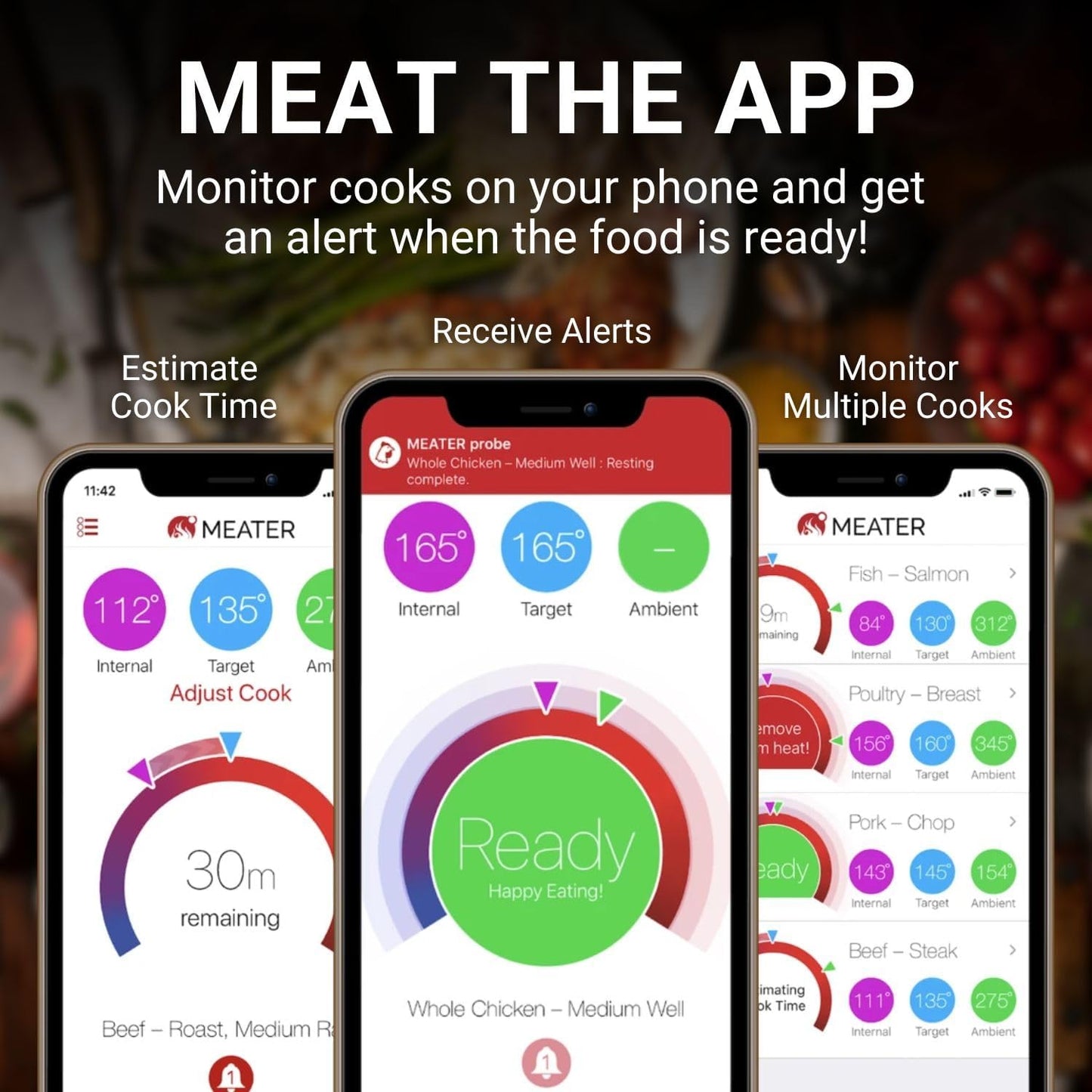 HyperSensing Bluetooth Smart Meat Thermometer 